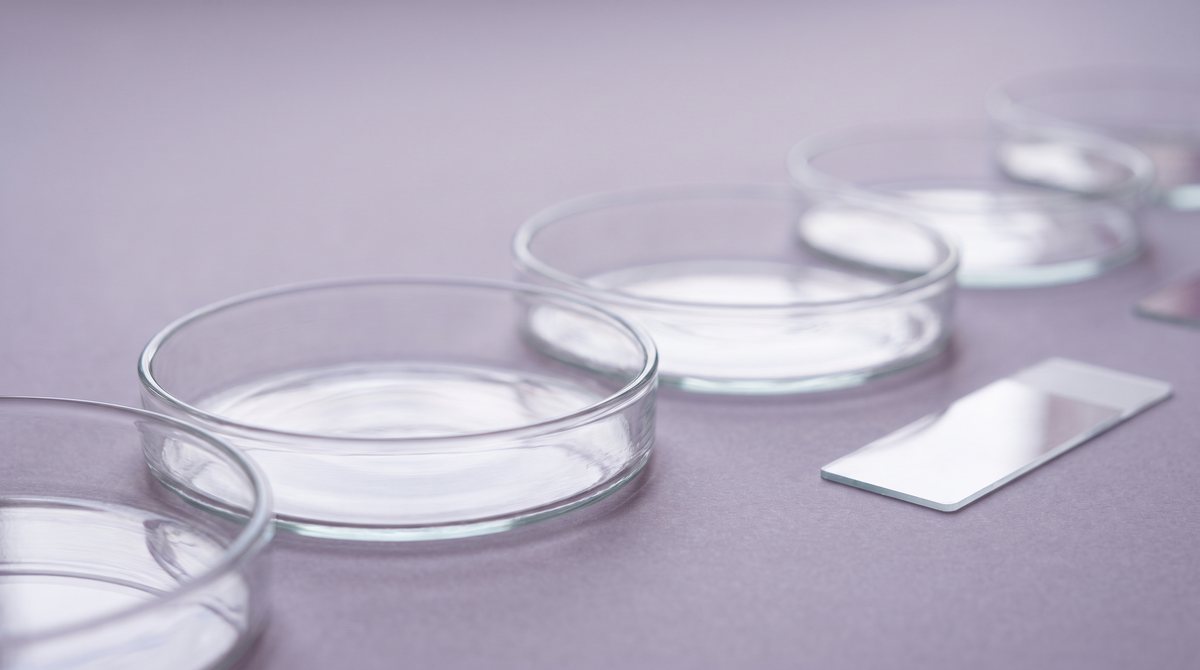 A row of empty glass petri dishes and a microscope slide on a pale lavender surface